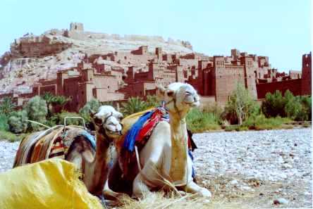 Marruecos_2