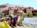Marruecos_2