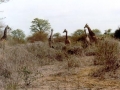 Senegal_Kaolack_1