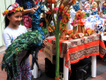 ecuador_2018_3