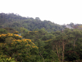 ecuador_2018_6